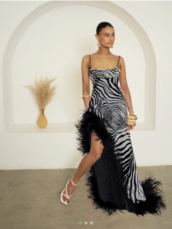 Delfi Collective Dresses & Skirts - Delfi Zebra Dress